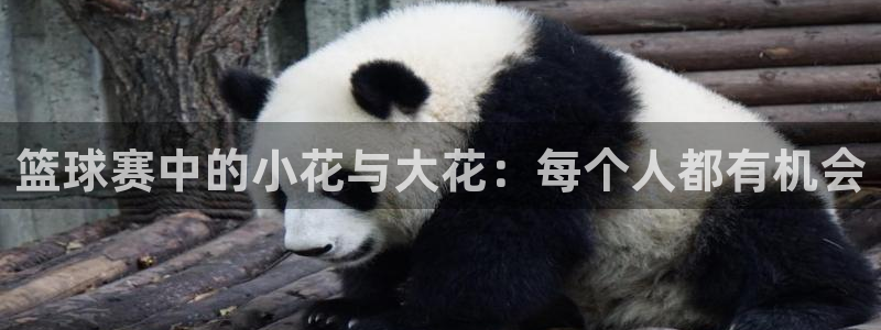 od体育网站：篮球赛中的小花与大花：每个人都有机会